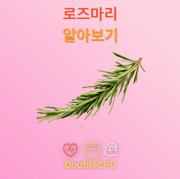 로즈마리 꽃말 및 탐구