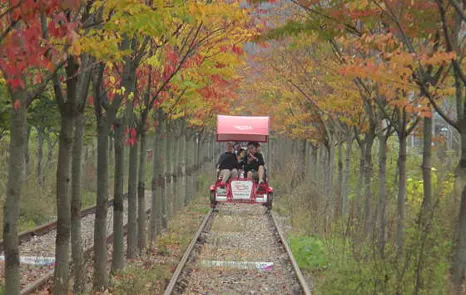강촌레일파크 경강레일바이크