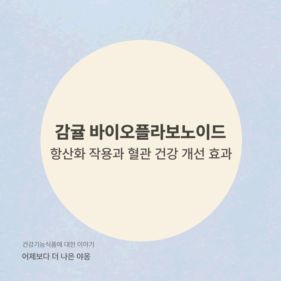 감귤 바이오플라보노이드의 효능! 항산화 작용과 혈관 건강 개선 효과 분석