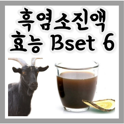 흑염소 진액