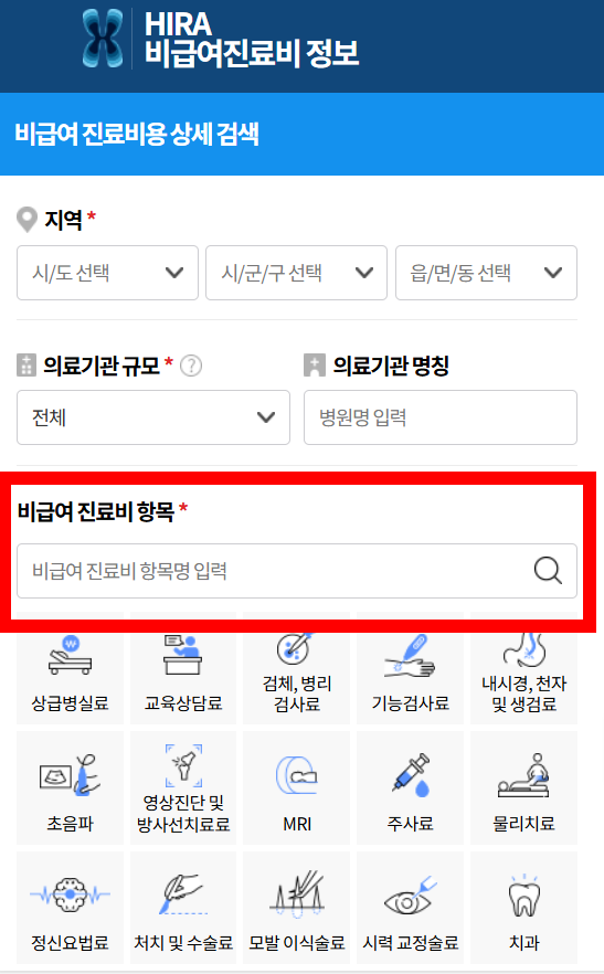 비급여 진료비 항목명 입력