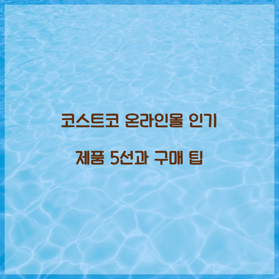 코스트코 온라인몰