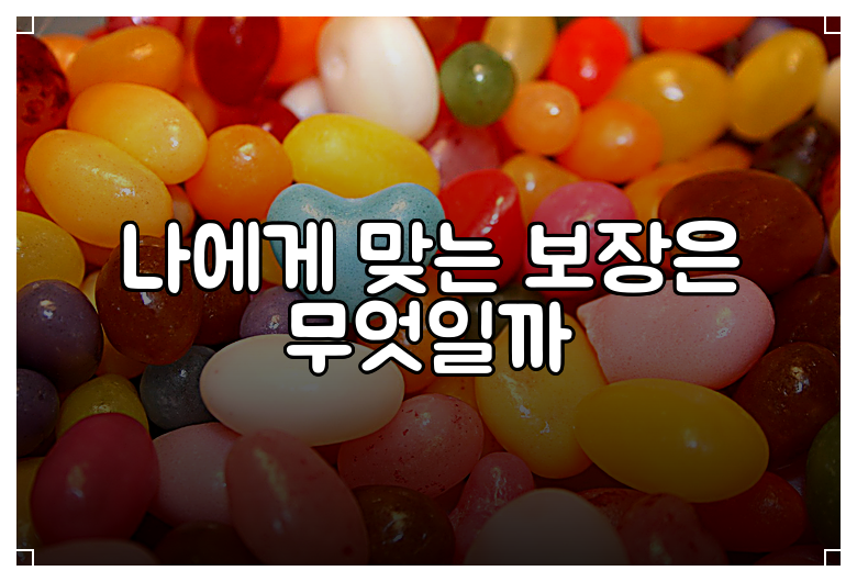 나에게 맞는 보장은 무엇일까