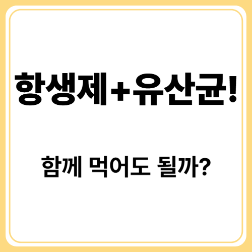 항생제 복용 중 유산균, 어떻게 먹어야 효과적일까?