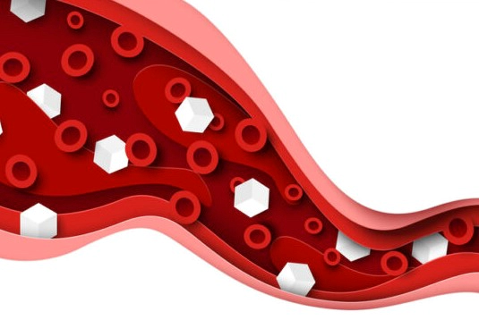 혈당 낮추는 성분 추천