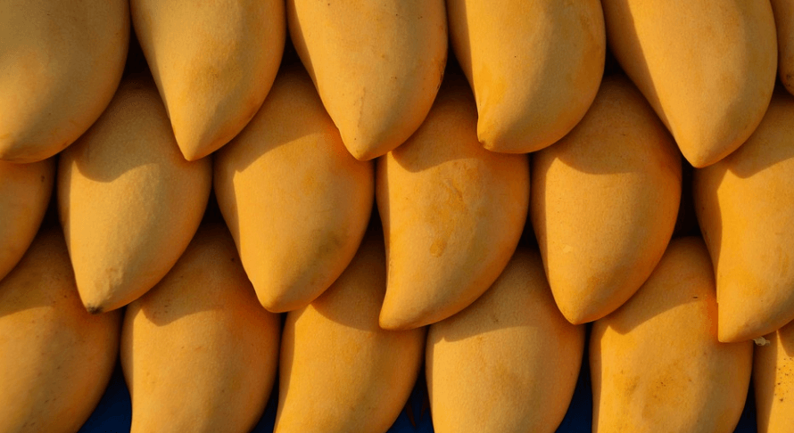 과일 망고 사진 - 6