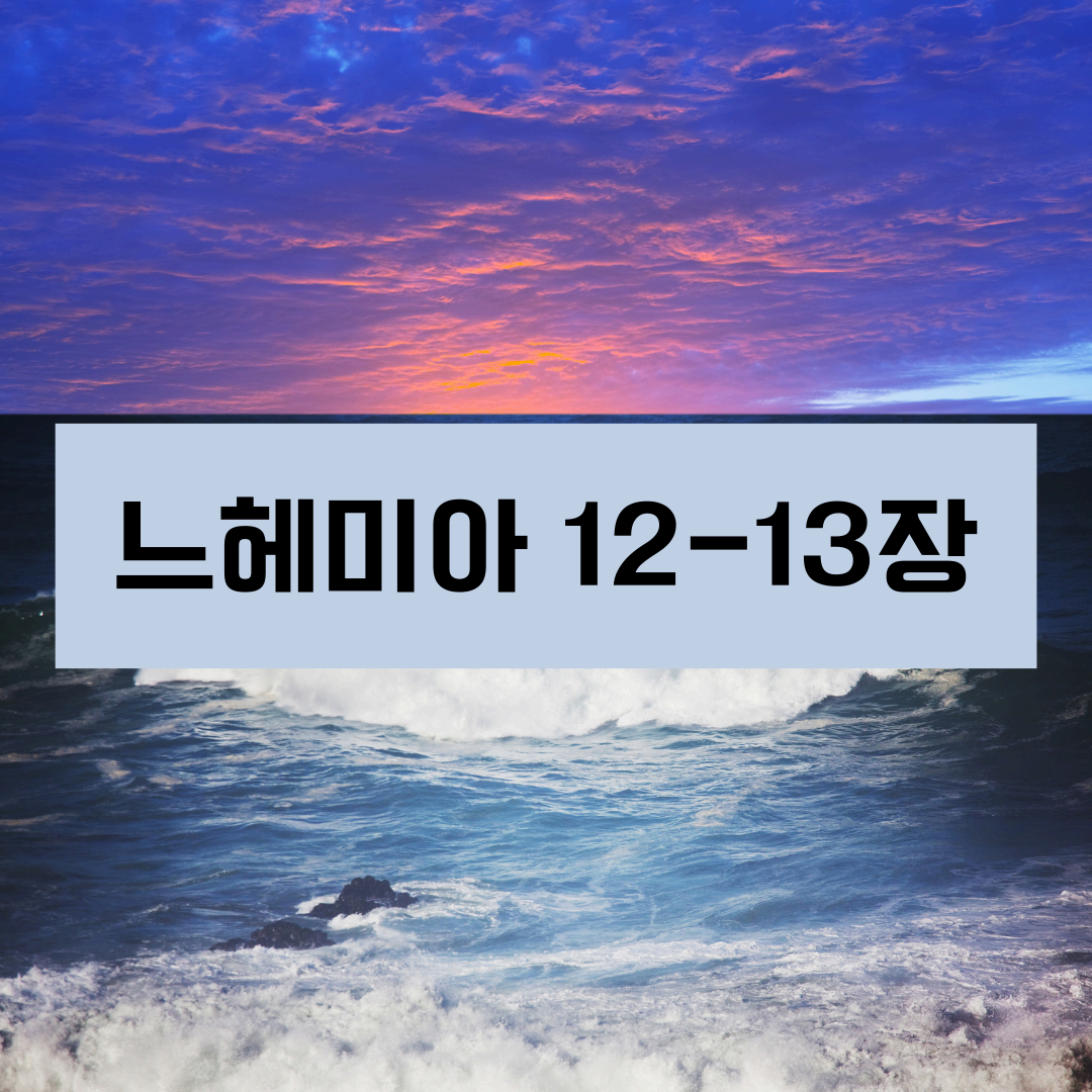 느혜미야12_13장