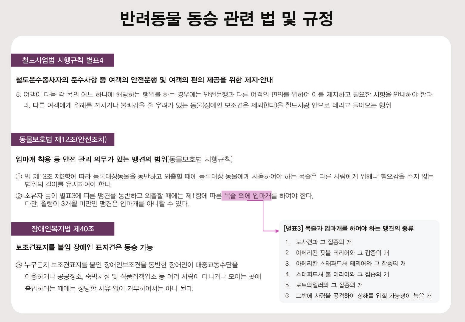 반려동물과 함께하는 대중교통