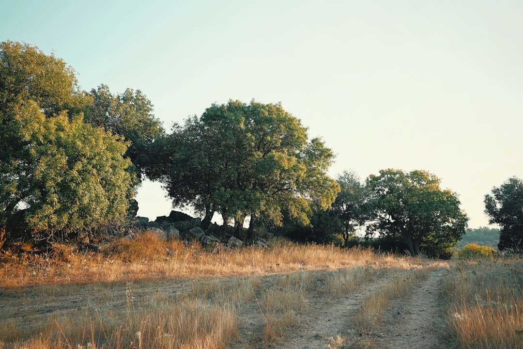 Land