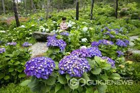 국내 가을 여행 - 해남 포레스트 수목원