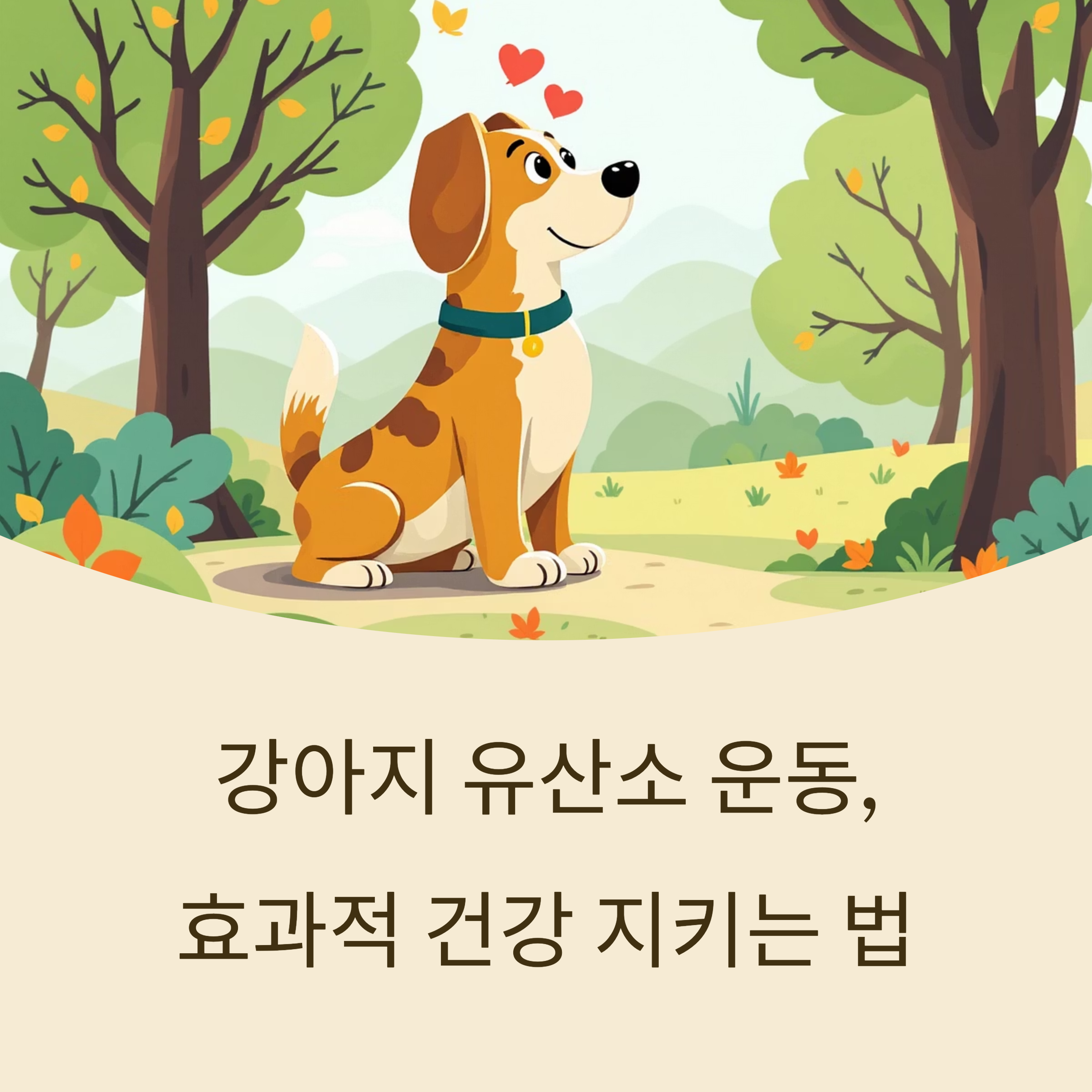 강아지 유산소 운동, 효과적 건강 지키는 법