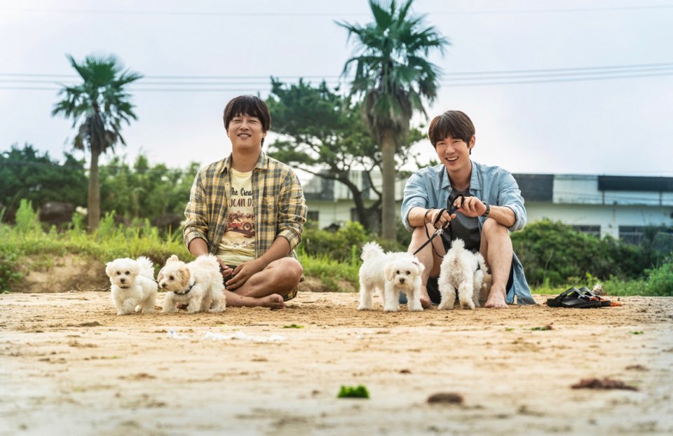 멍뭉이 영화 정보 관전 포인트 인터뷰 정리