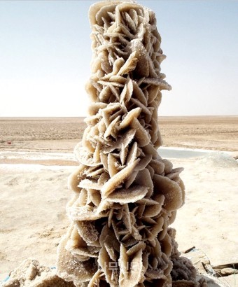 사막의장미 현상