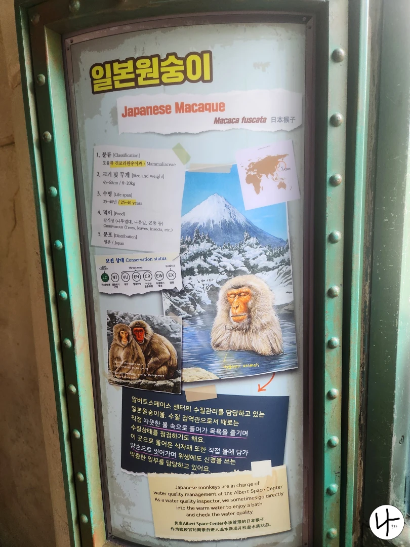 일본원숭이-키-몸무게-서식지-정보