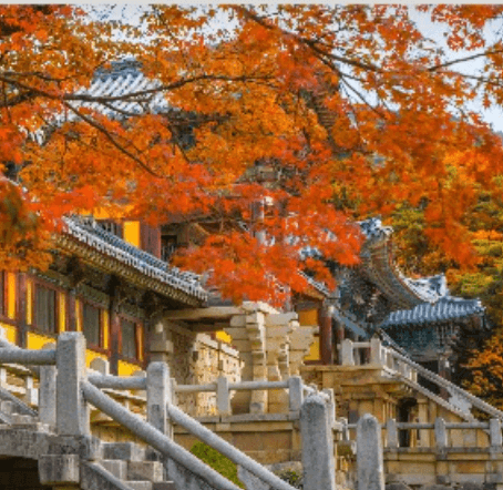 켄싱턴 가을 패키지 지금 확인하세요