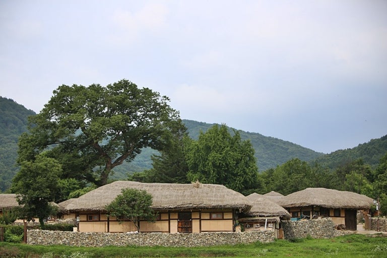 아산 외암민속마을: 시간이 멈춘 조선시대의 살아있는 박물관