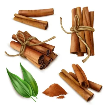 계피의 기본적인 특징과 활용 개요17