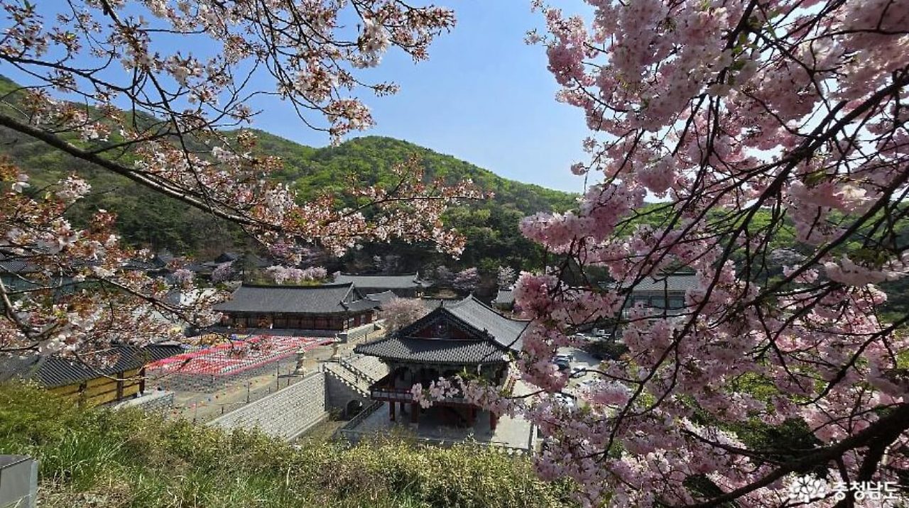 천안 각원사