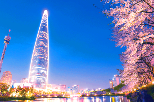 석촌 호수 벚꽃축제