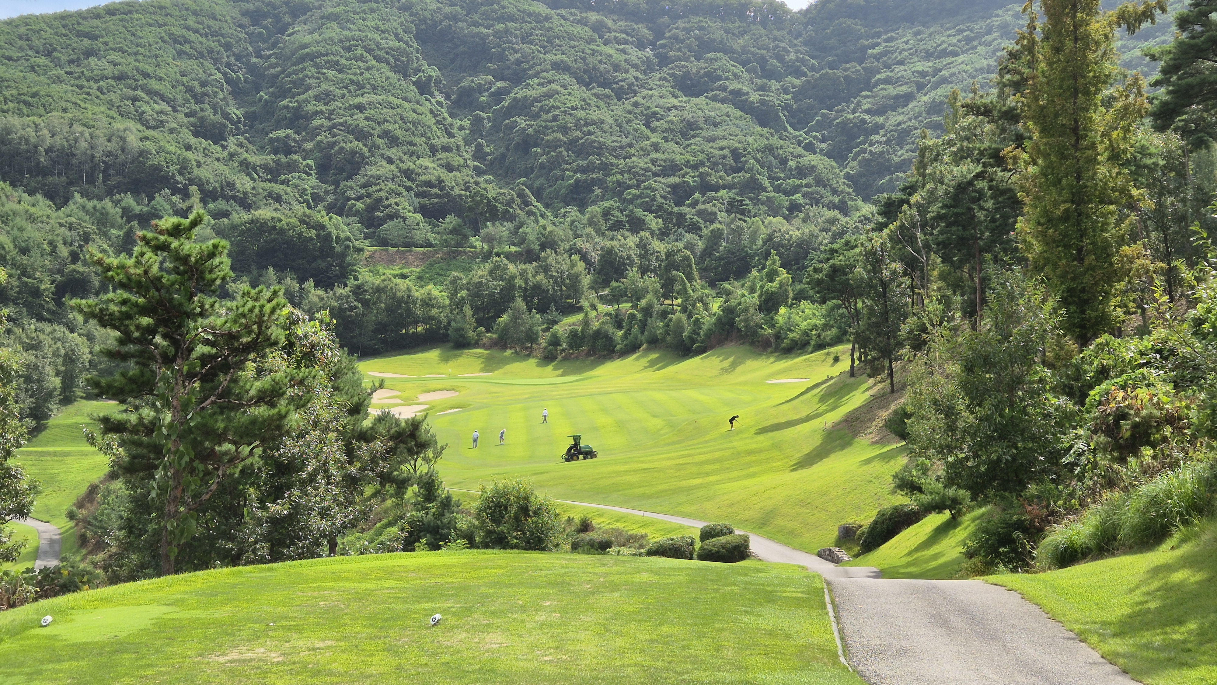 세일cc 들길-산길 코스 사진 및 공략 정보