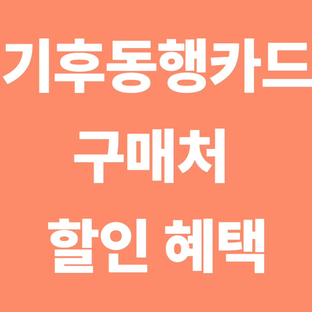 청년을 위한 기후동행카드 구매처 및 할인 혜택