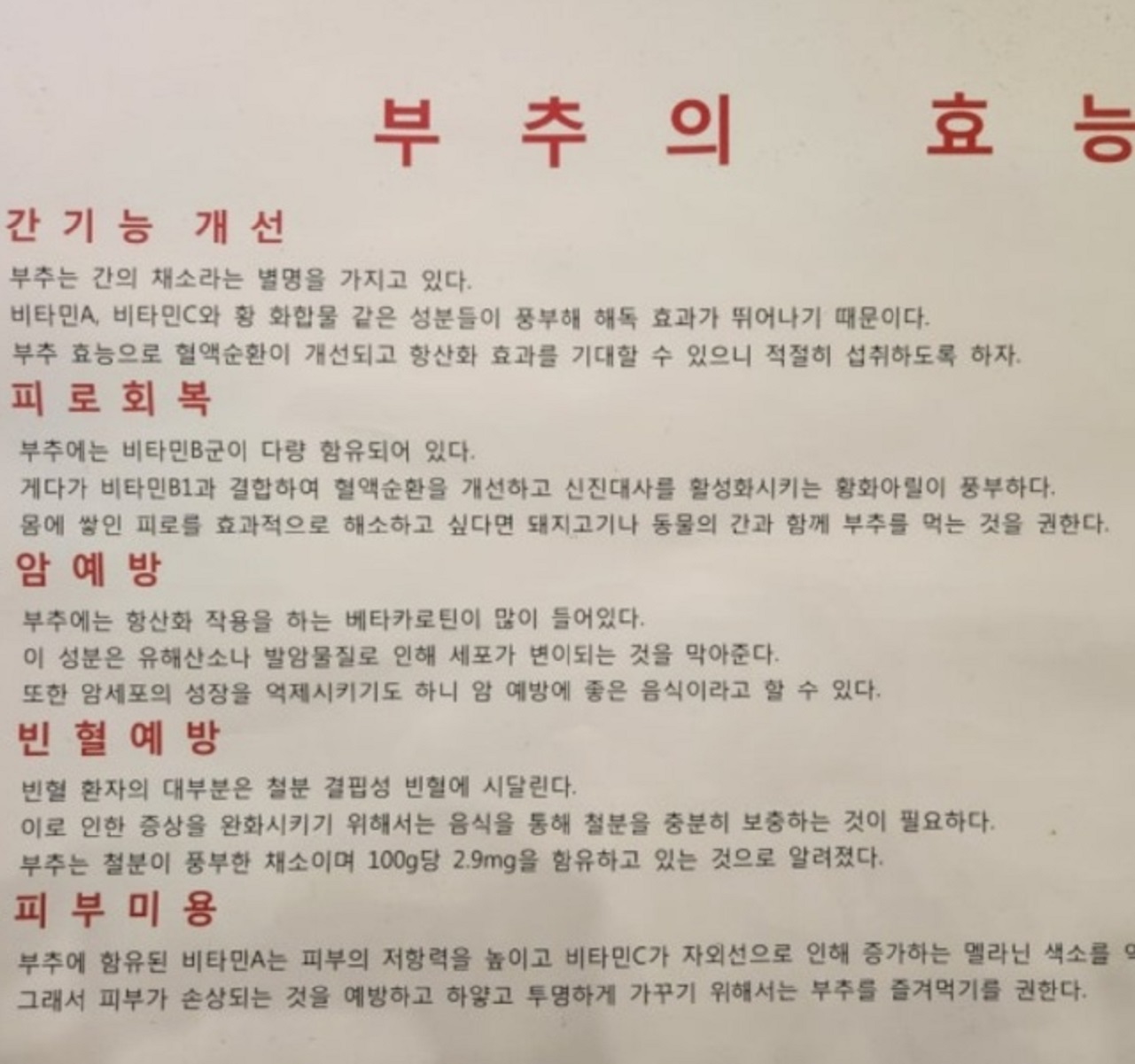 부추의효능