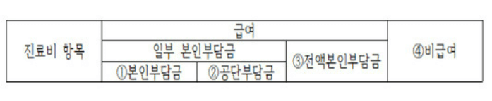 진료비 영수증 내용