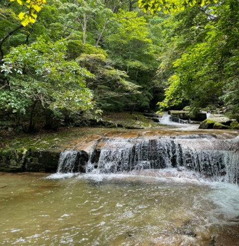 방태산 자연휴양림 사진