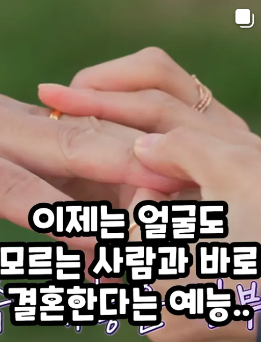 계약결혼 출연진