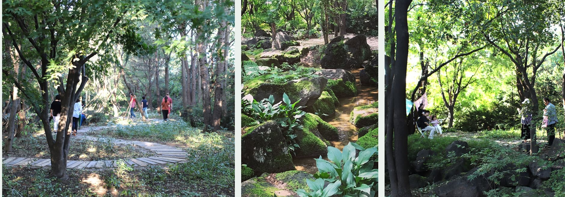 벽초지수목원 봄꽃축제❘온라인 예매 방법, 계절별 즐길 거리, 촬영지