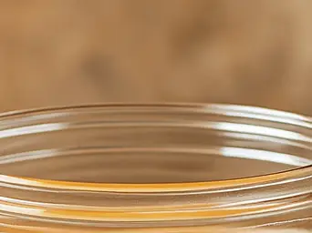 콤부차 효능과 부작용