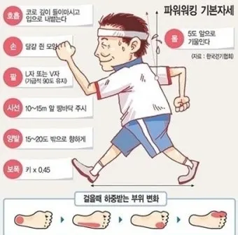 걷기운동 효과 좋은점 놀라운 효능 방법_16