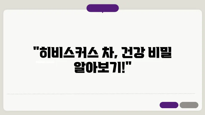 히비스커스 차 끓이는법과 하루 섭취량 및 히비스커스 꽃과 씨앗에 대해 알아보기
