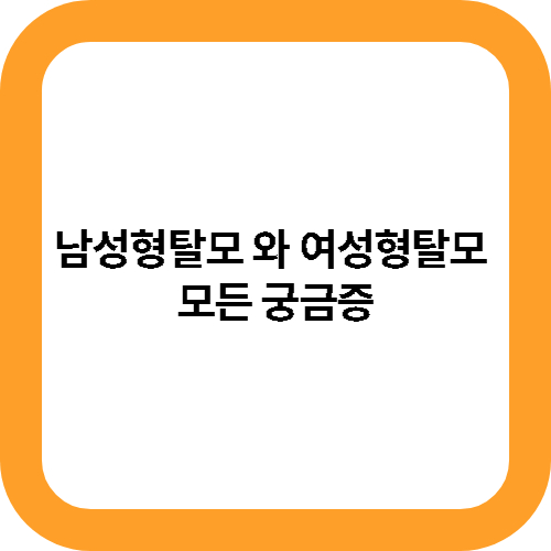 남성형탈모 와 여성형탈모 모든 궁금증 대표사진