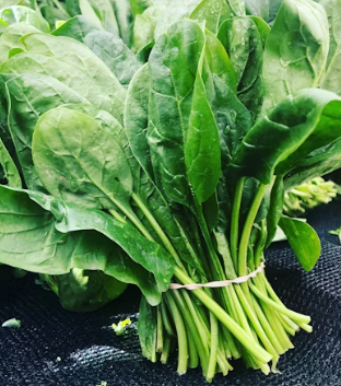 나트륨 배출에 좋은 음식 방법 몸속 돕는 칼륨