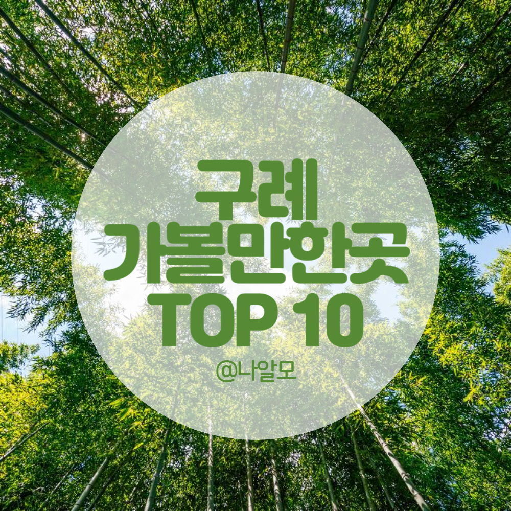 구례-가볼만한곳-TOP10