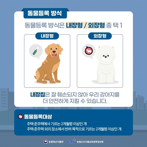 반려견 등록