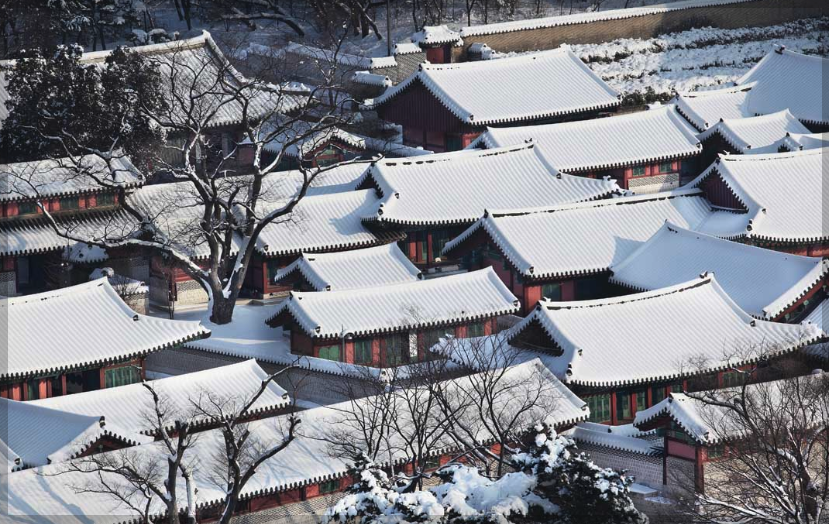 창덕궁 후원 예약&amp;#44; 3분 총정리