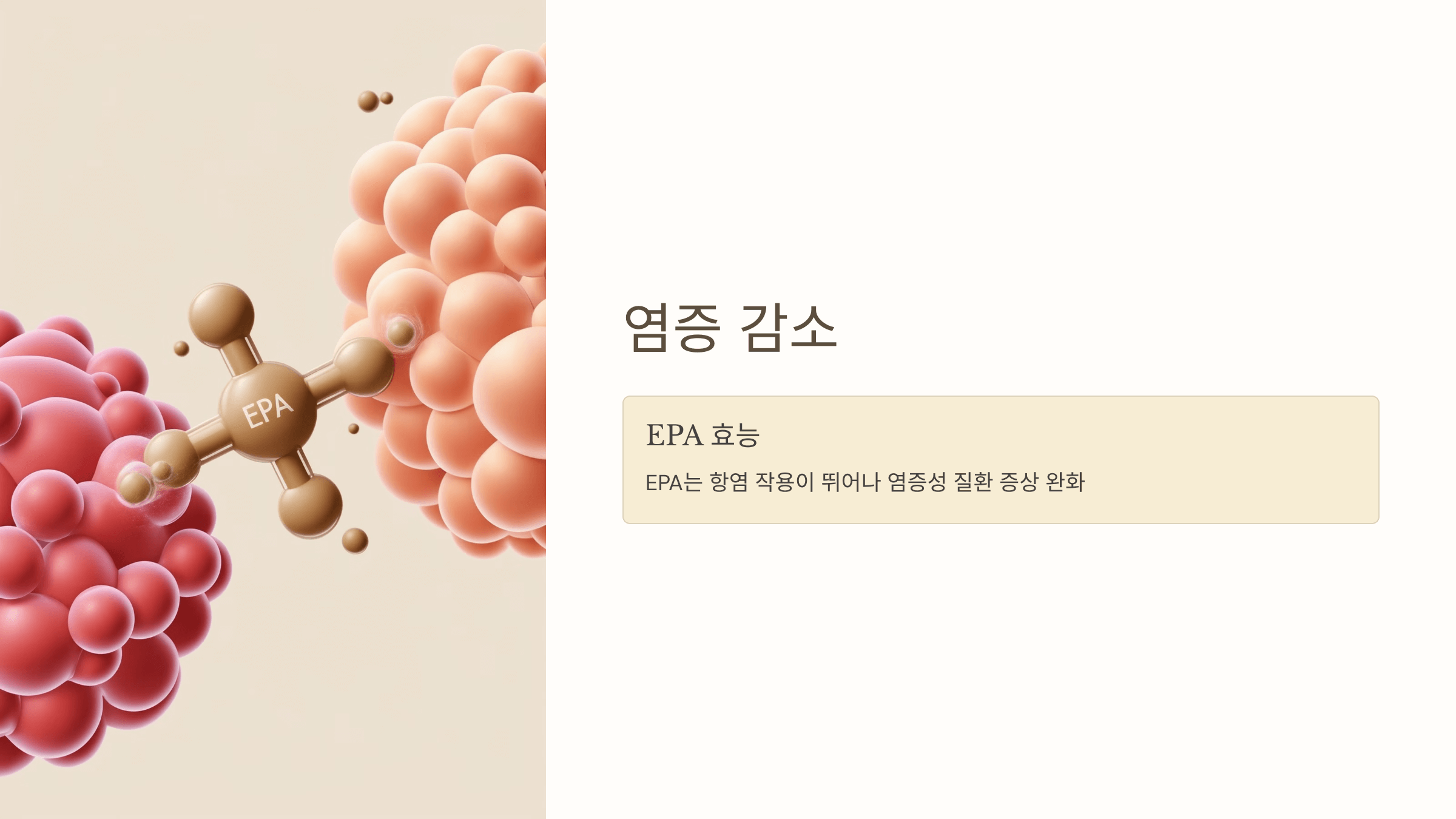 오메가3와 관련된 사진입니다.