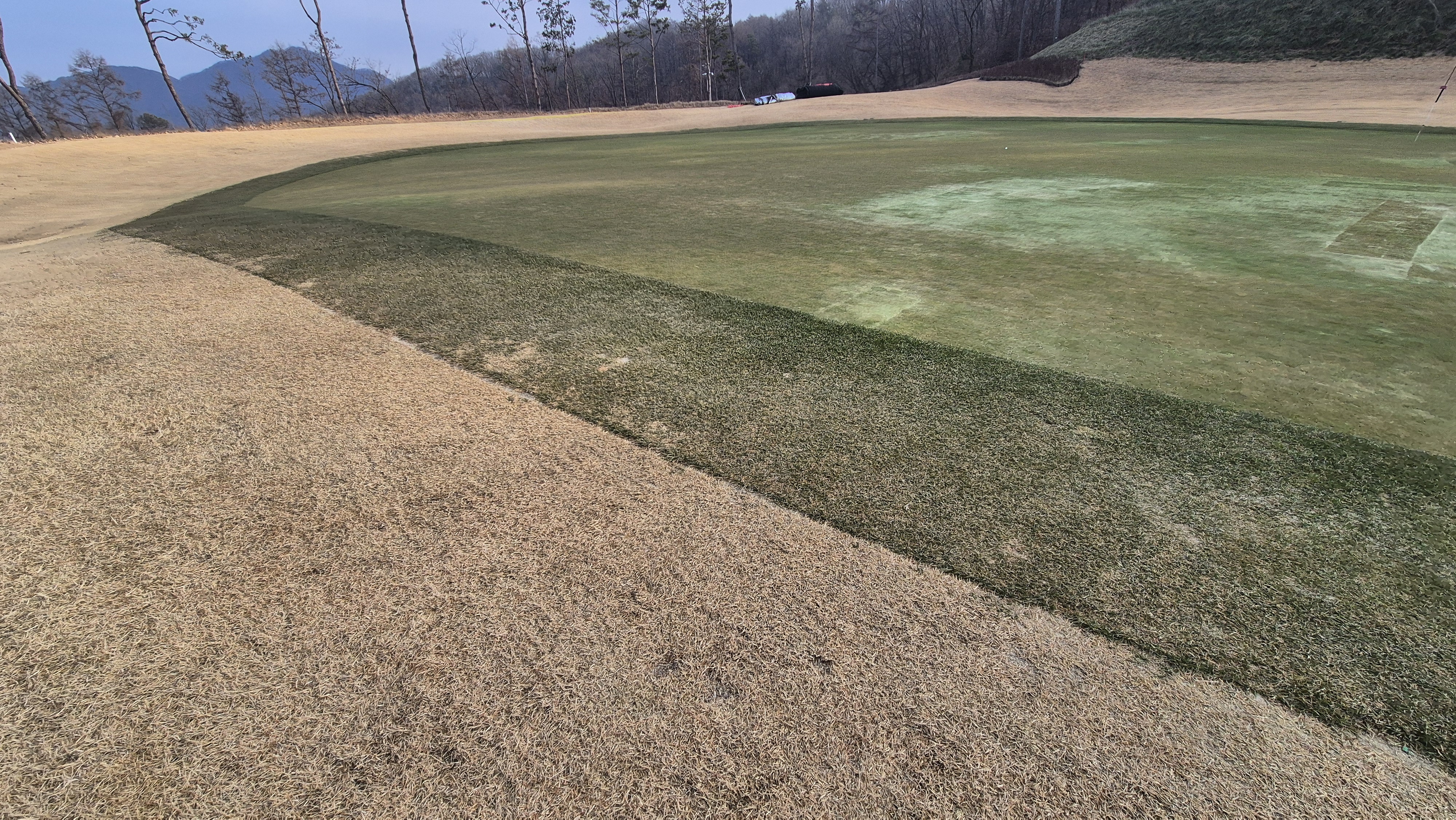 모나크cc 라운드 후기 그린관리상태