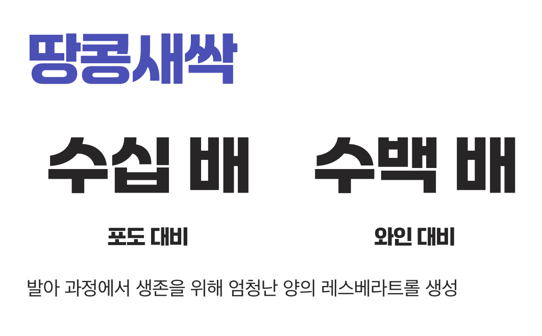 진짜 보고(寶庫), 바로 '이것'