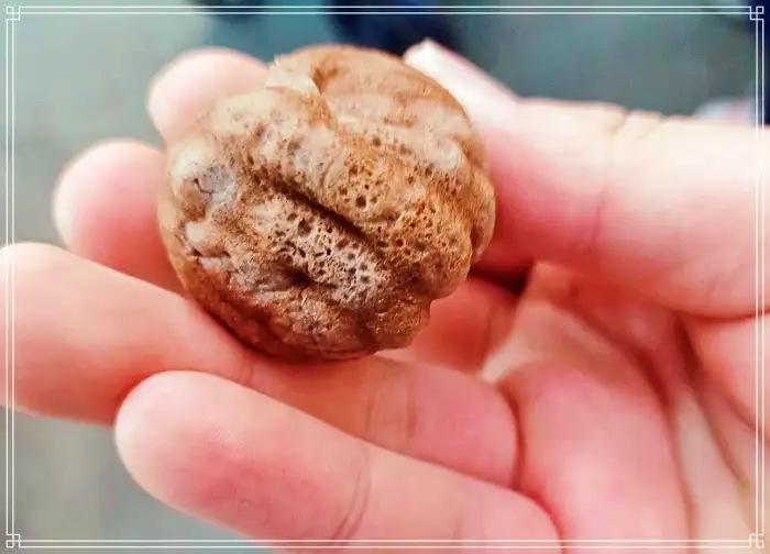 인천 계양산전통시장 맛집 전국 택배 주문 흑미 호두과자
