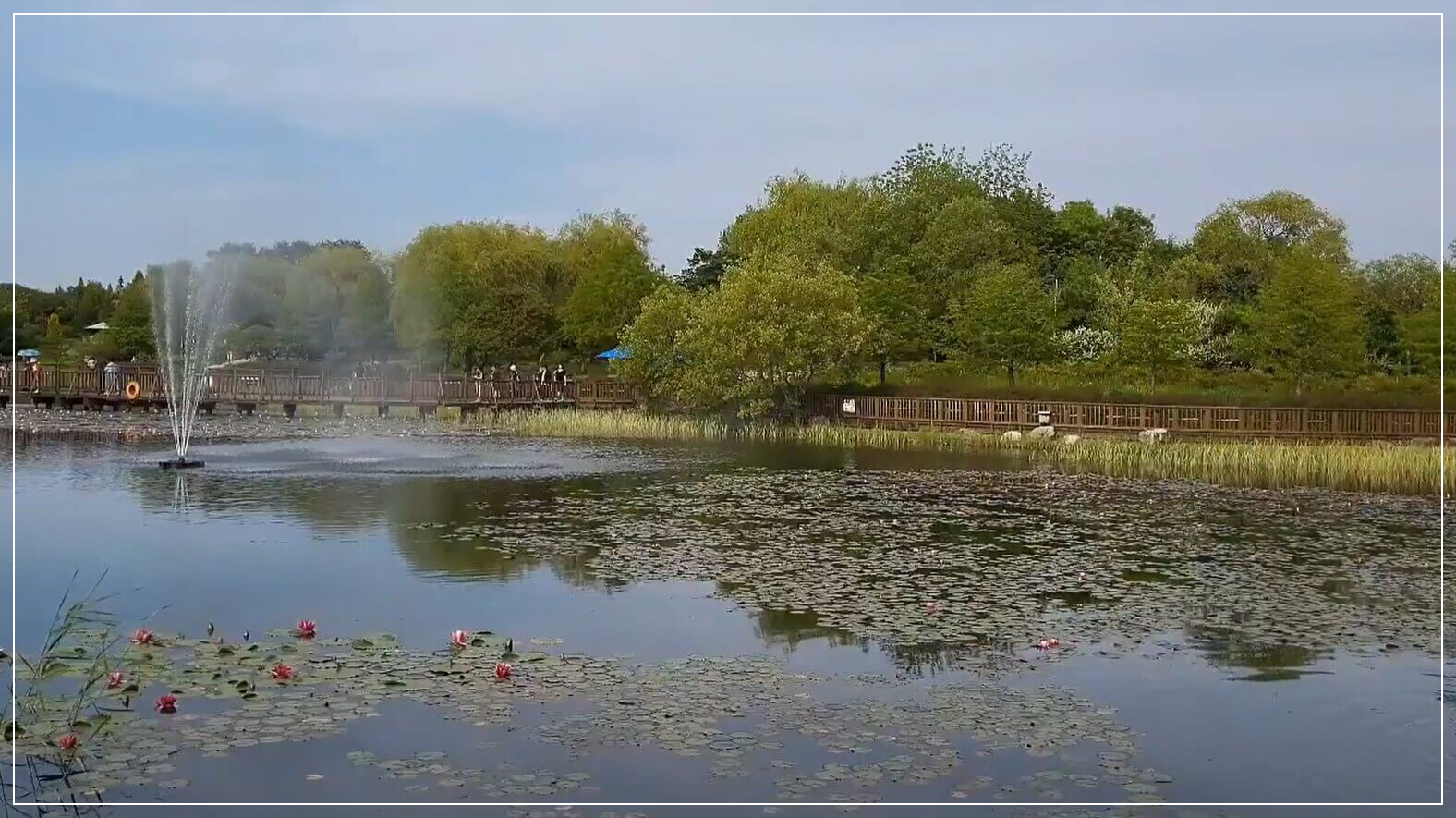 대전 가볼만한곳 베스트10 한밭수목원