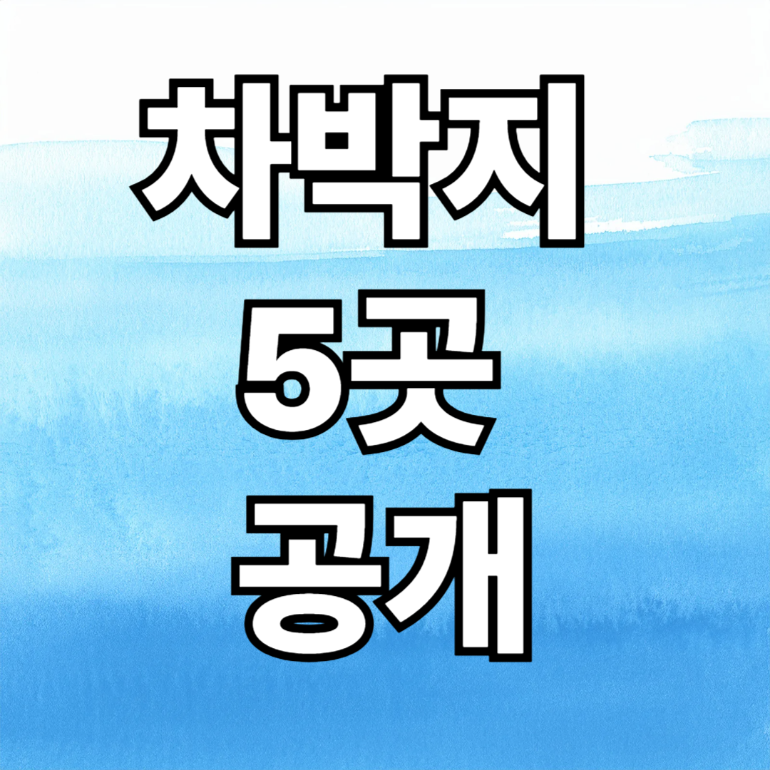 충청도 노지 차박 명소 총정리