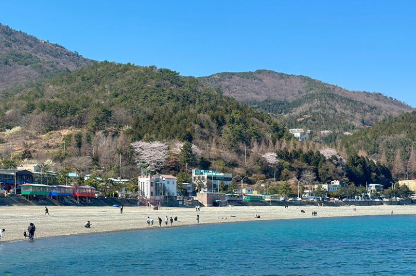 만성리 검은 모래해변 전경 사진