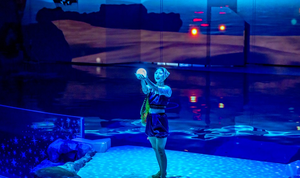 제주 동쪽 가볼만한곳 (오션 아레나)