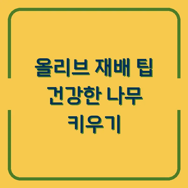 올리브 재배 팁 건강한 나무 키우기