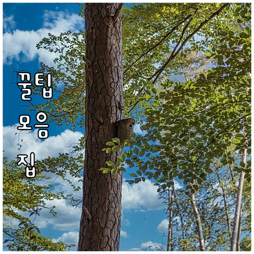 성북구 대형폐기물 무료 수거 대상과 ..