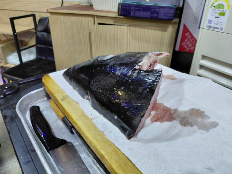 참치머리