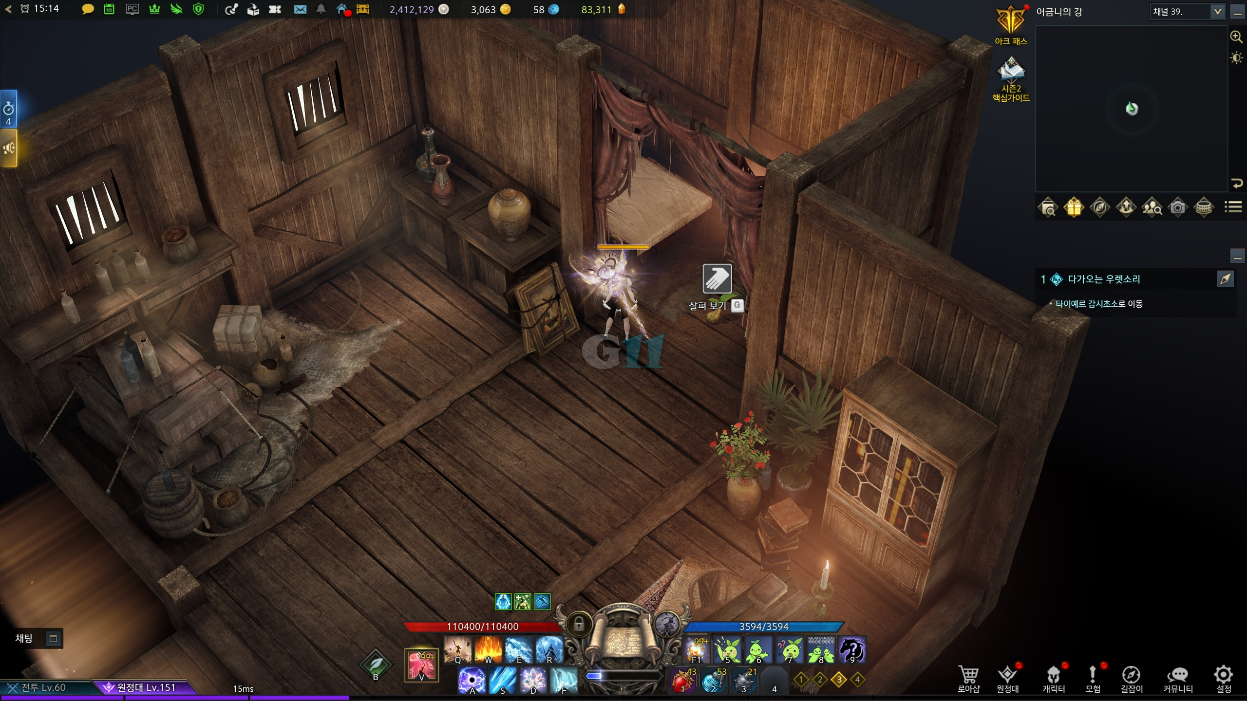 어금니의강 모코코